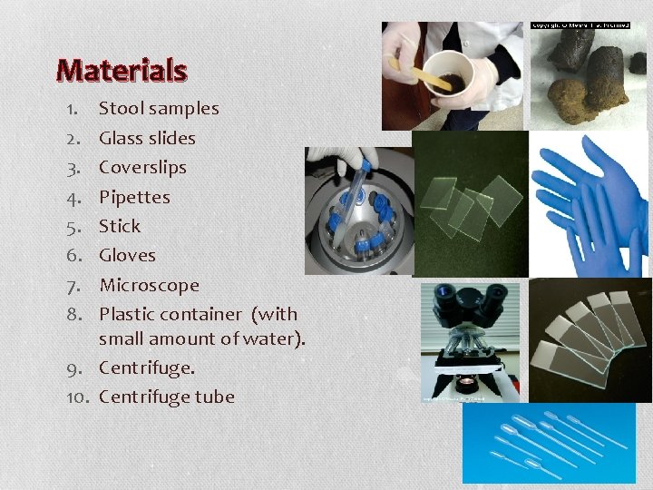 Materials 1. 2. 3. 4. 5. 6. 7. 8. Stool samples Glass slides Coverslips