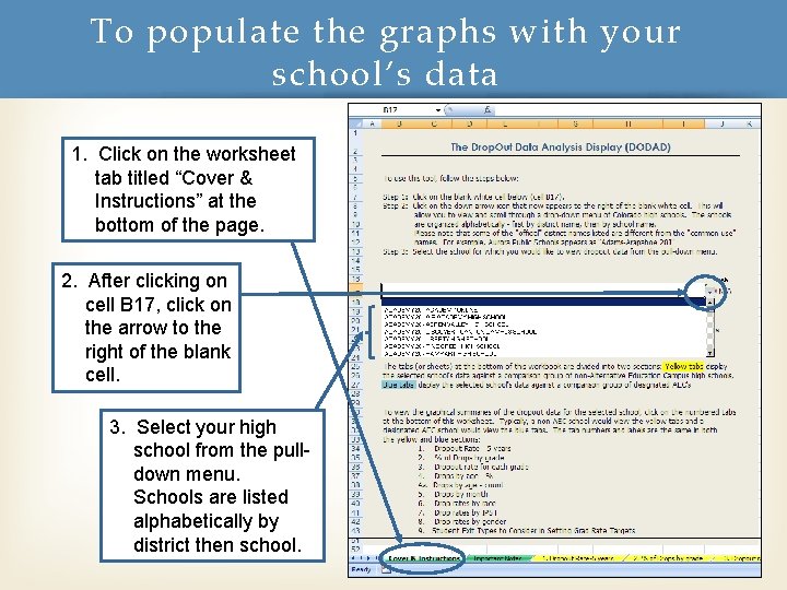 To populate the graphs with your school’s data 1. Click on the worksheet tab