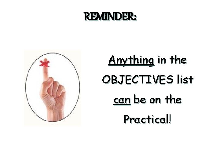 REMINDER: Anything in the OBJECTIVES list can be on the Practical! 
