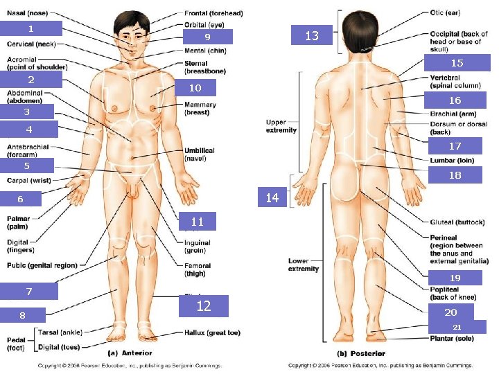 1 13 9 15 2 10 16 3 4 17 5 18 14 6