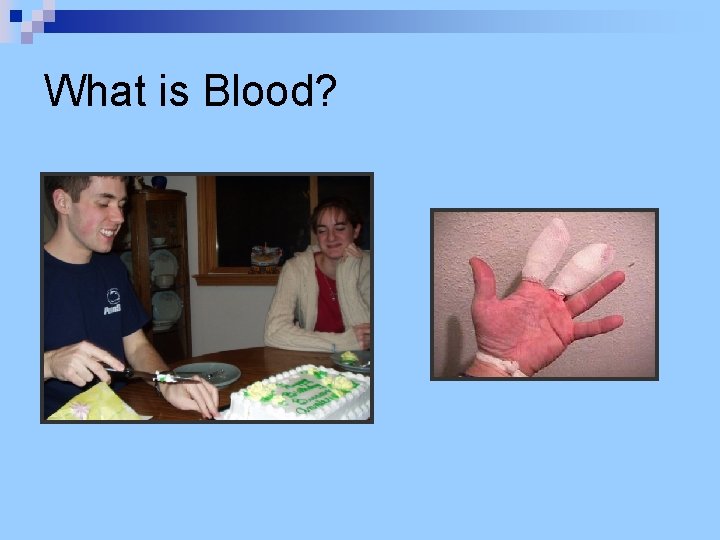 What is Blood? 