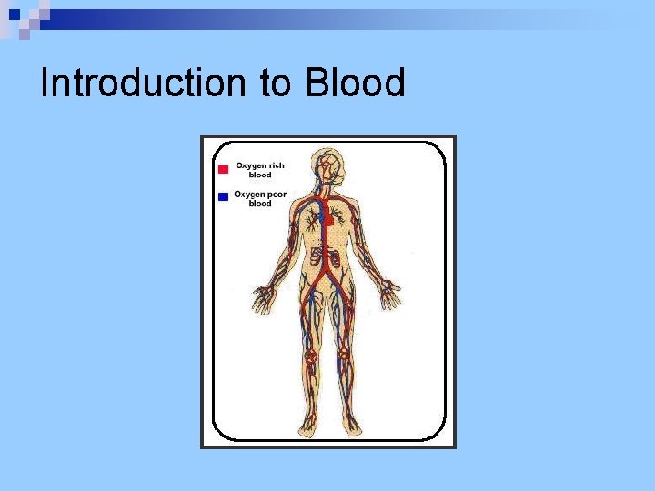 Introduction to Blood 