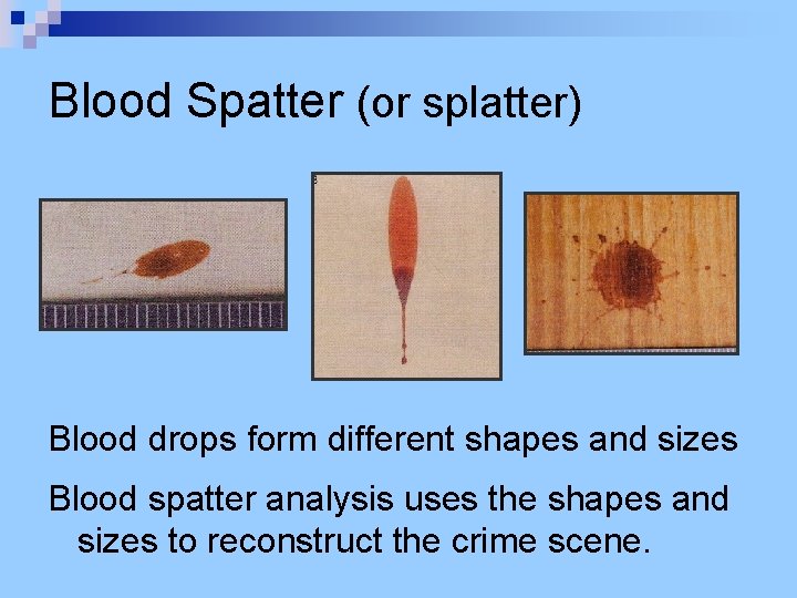 Blood Spatter (or splatter) Blood drops form different shapes and sizes Blood spatter analysis