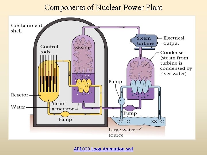 Components of Nuclear Power Plant AP 1000 Loop Animation. swf 