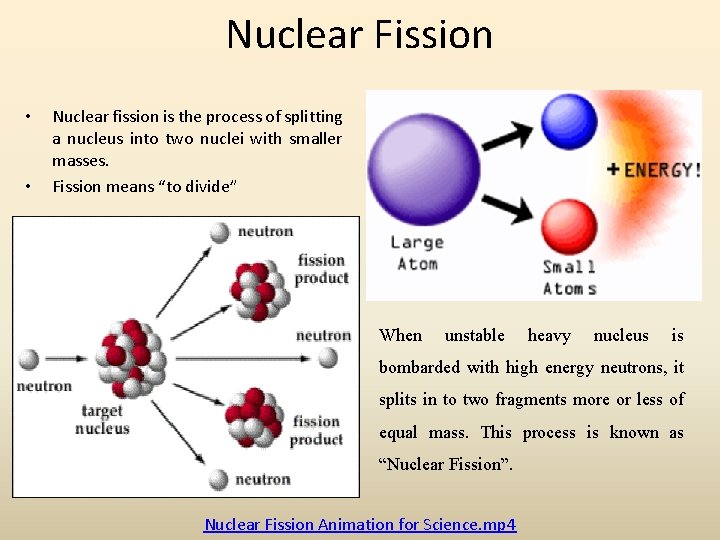 Nuclear Fission • • Nuclear fission is the process of splitting a nucleus into