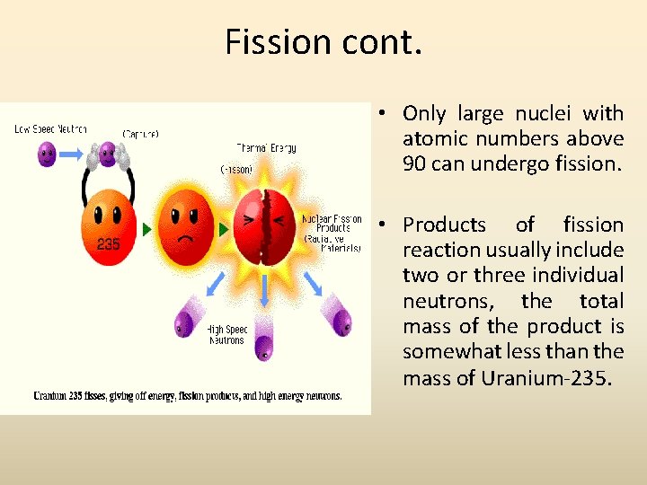 Fission cont. • Only large nuclei with atomic numbers above 90 can undergo fission.