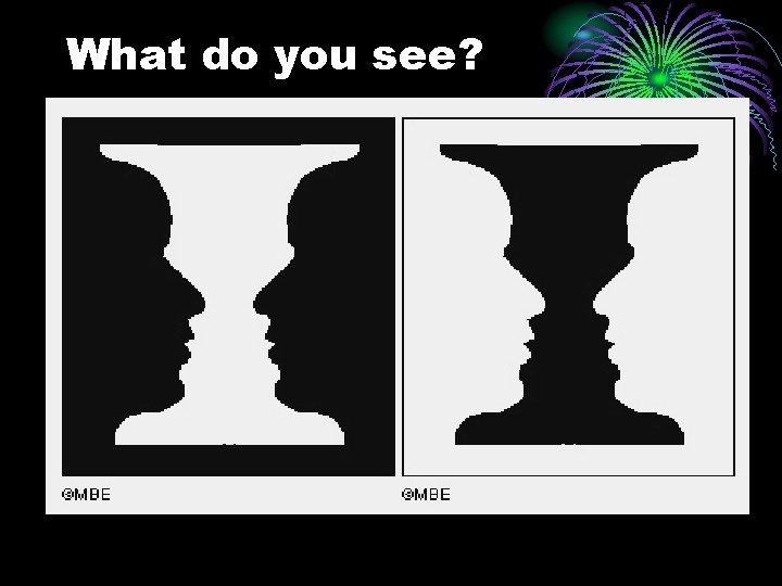 What do you see? 