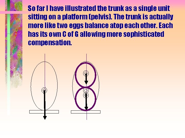 So far I have illustrated the trunk as a single unit sitting on a