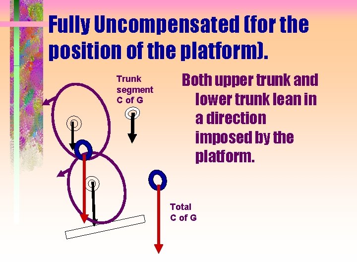 Fully Uncompensated (for the position of the platform). Trunk segment C of G Both