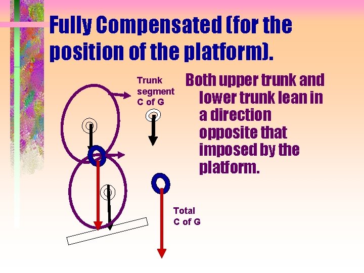Fully Compensated (for the position of the platform). Trunk segment C of G Both