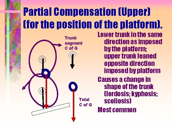 Partial Compensation (Upper) (for the position of the platform). Trunk segment C of G