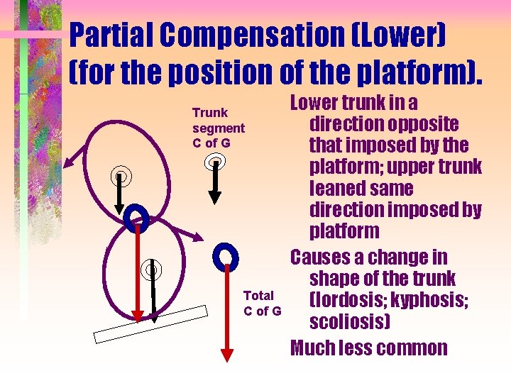 Partial Compensation (Lower) (for the position of the platform). Trunk segment C of G