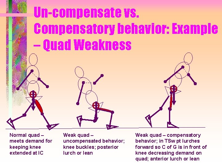 Un-compensate vs. Compensatory behavior: Example – Quad Weakness Normal quad – meets demand for