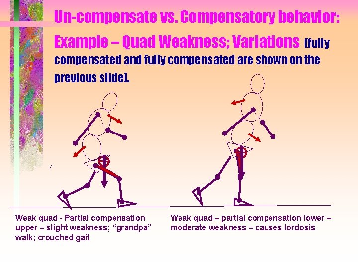 Un-compensate vs. Compensatory behavior: Example – Quad Weakness; Variations (fully compensated and fully compensated
