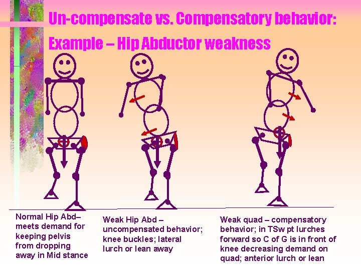 Un-compensate vs. Compensatory behavior: Example – Hip Abductor weakness Normal Hip Abd– meets demand