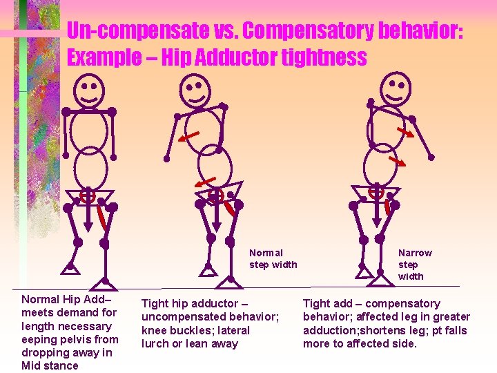 Un-compensate vs. Compensatory behavior: Example – Hip Adductor tightness Normal step width Normal Hip