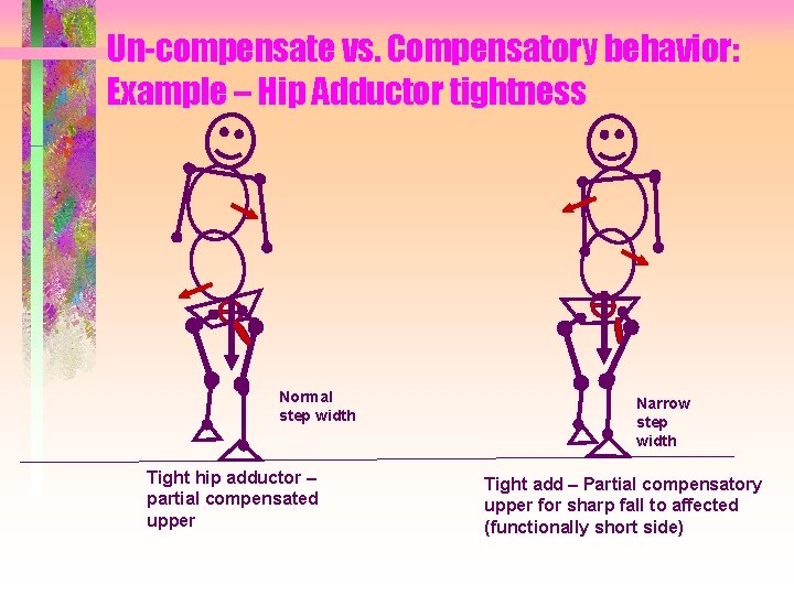 Un-compensate vs. Compensatory behavior: Example – Hip Adductor tightness Normal step width Tight hip