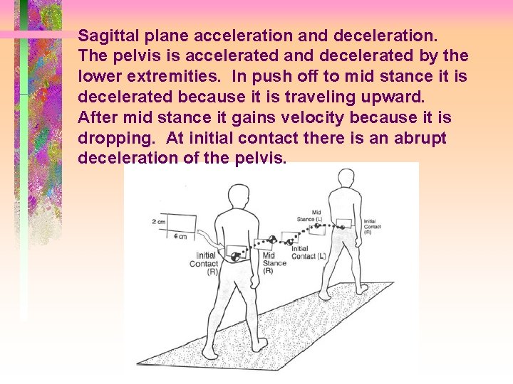Sagittal plane acceleration and deceleration. The pelvis is accelerated and decelerated by the lower