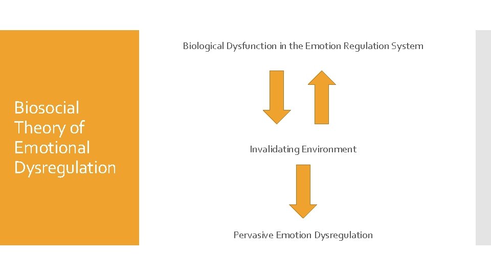 Biological Dysfunction in the Emotion Regulation System Biosocial Theory of Emotional Dysregulation Invalidating Environment