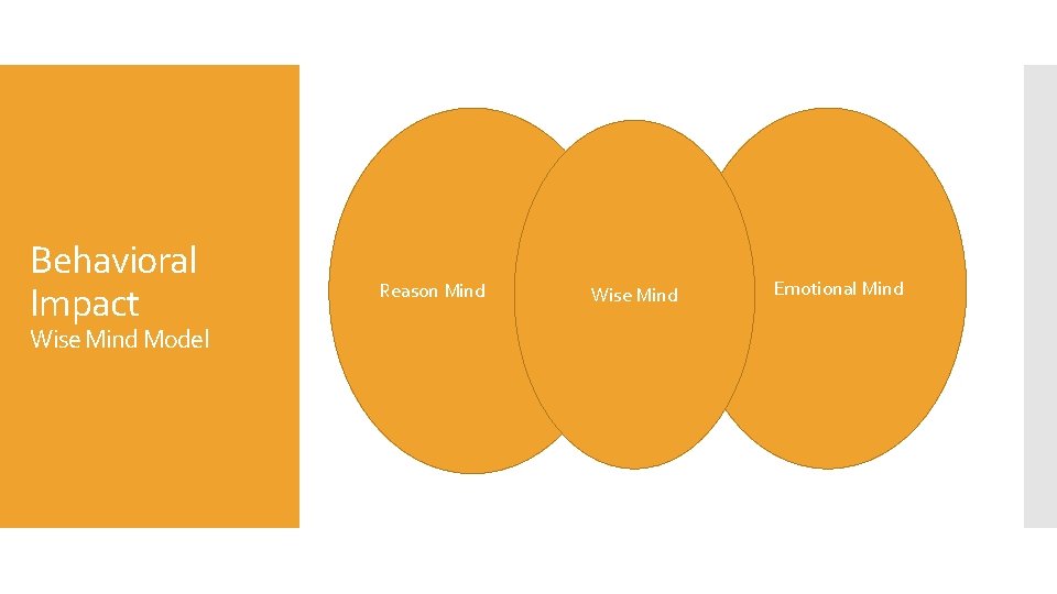 Behavioral Impact Wise Mind Model Reason Mind Wise Mind Emotional Mind 