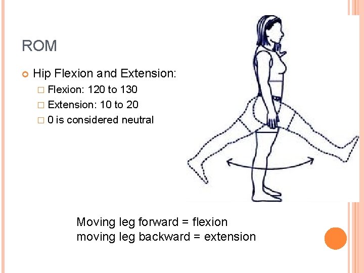 ROM Hip Flexion and Extension: � Flexion: 120 to 130 � Extension: 10 to