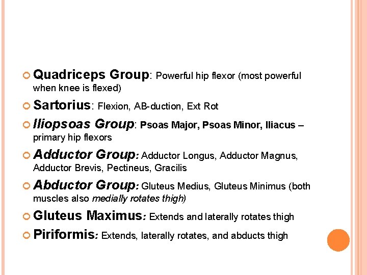  Quadriceps Group: Powerful hip flexor (most powerful when knee is flexed) Sartorius: Flexion,