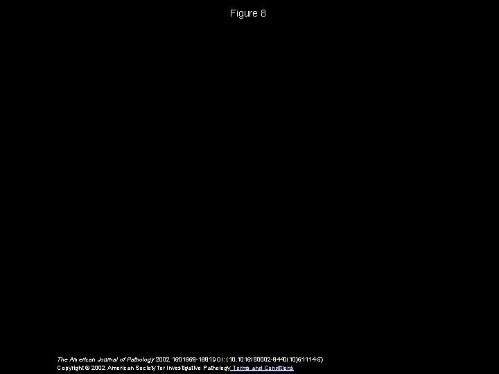 Figure 8 The American Journal of Pathology 2002 1601669 -1681 DOI: (10. 1016/S 0002