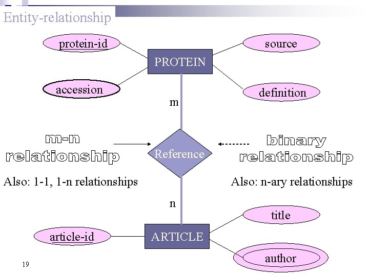 Entity-relationship source protein-id PROTEIN accession m definition Reference Also: 1 -1, 1 -n relationships