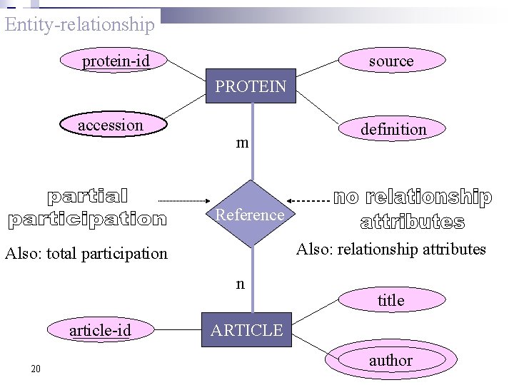 Entity-relationship source protein-id PROTEIN accession m definition Reference Also: relationship attributes Also: total participation