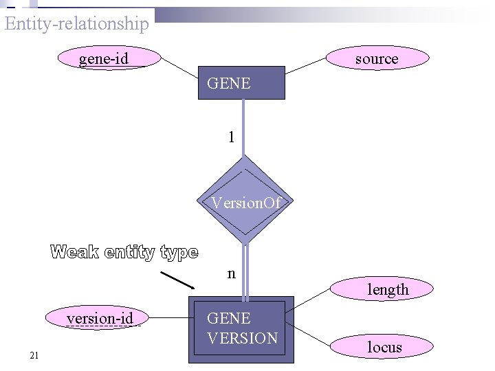 Entity-relationship source gene-id GENE 1 Version. Of n version-id 21 GENE VERSION length locus