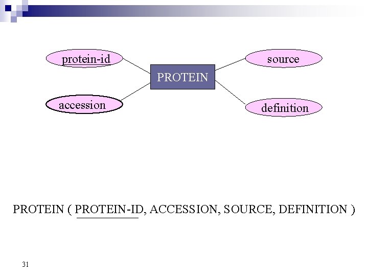 source protein-id PROTEIN accession definition PROTEIN ( PROTEIN-ID, ACCESSION, SOURCE, DEFINITION ) 31 