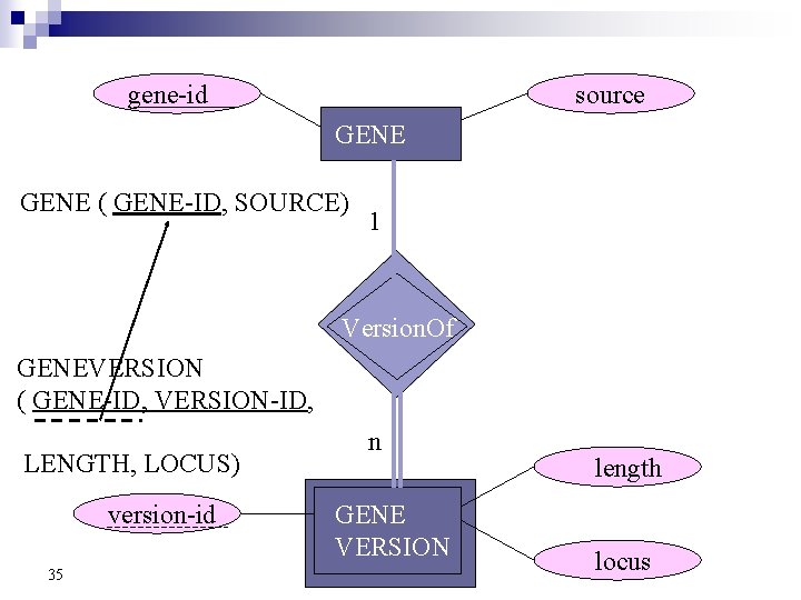 source gene-id GENE ( GENE-ID, SOURCE) 1 Version. Of GENEVERSION ( GENE-ID, VERSION-ID, LENGTH,