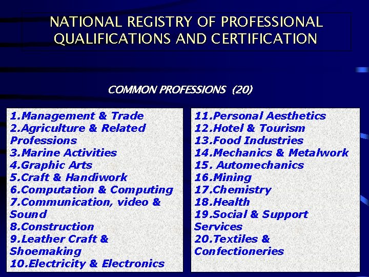 NATIONAL REGISTRY OF PROFESSIONAL QUALIFICATIONS AND CERTIFICATION COMMON PROFESSIONS (20) 1. Management & Trade