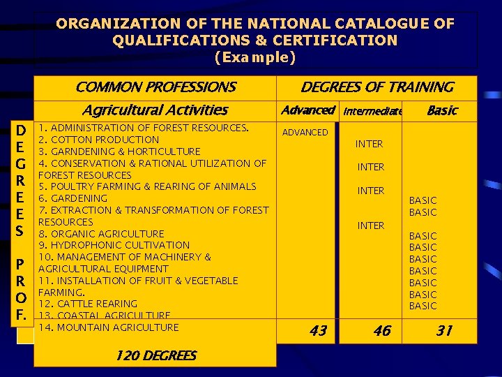 ORGANIZATION OF THE NATIONAL CATALOGUE OF QUALIFICATIONS & CERTIFICATION (Example) COMMON PROFESSIONS D E
