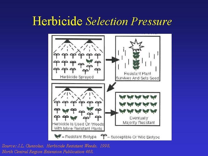 Herbicide Selection Pressure Source: J. L. Gunsolus. Herbicide Resistant Weeds. 1998. North Central Region