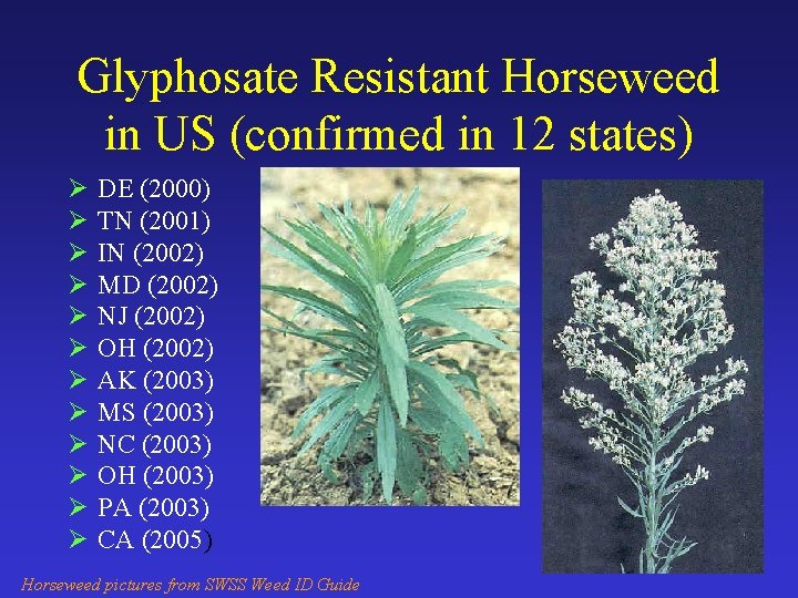 Glyphosate Resistant Horseweed in US (confirmed in 12 states) Ø Ø Ø DE (2000)