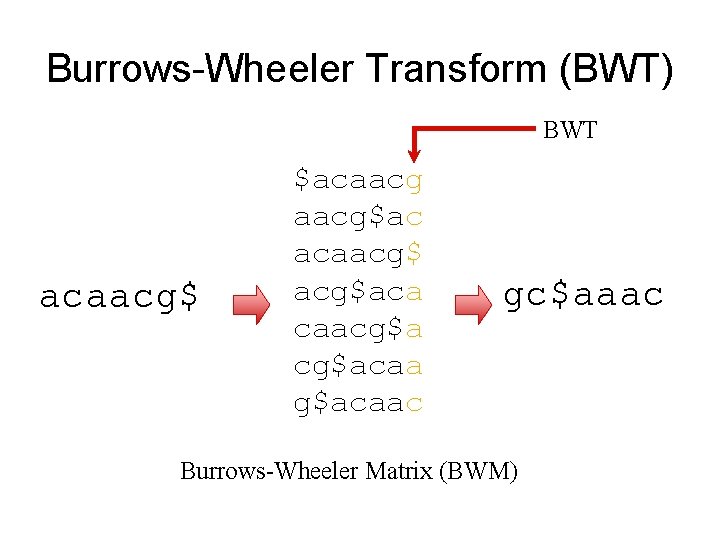 Burrows-Wheeler Transform (BWT) BWT acaacg$ $acaacg$ac acaacg$aca caacg$acaa g$acaac gc$aaac Burrows-Wheeler Matrix (BWM) 