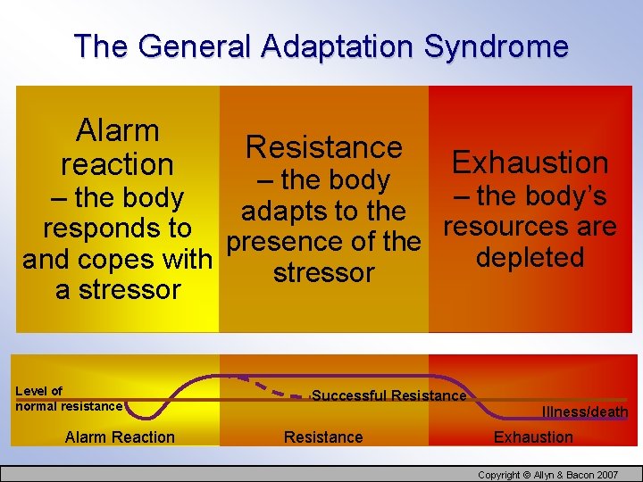 The General Adaptation Syndrome Alarm reaction Resistance Exhaustion – the body’s – the body