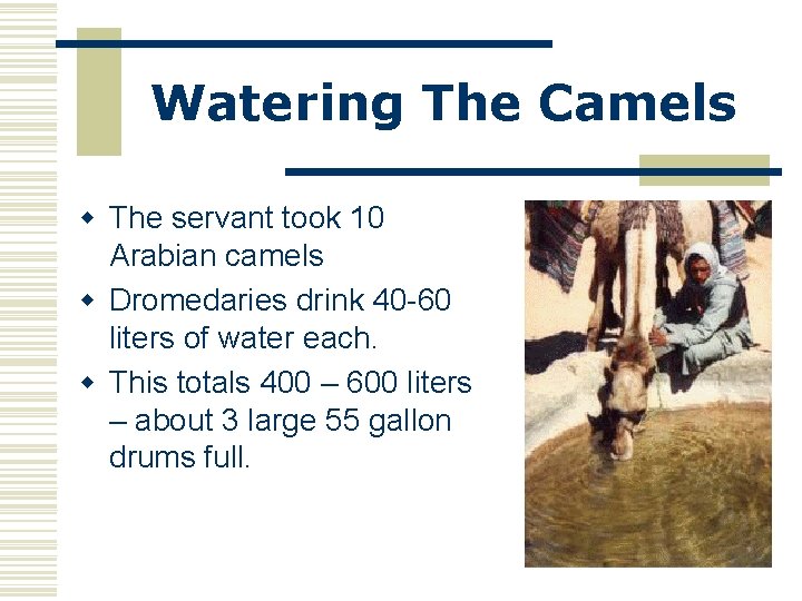 Watering The Camels w The servant took 10 Arabian camels w Dromedaries drink 40