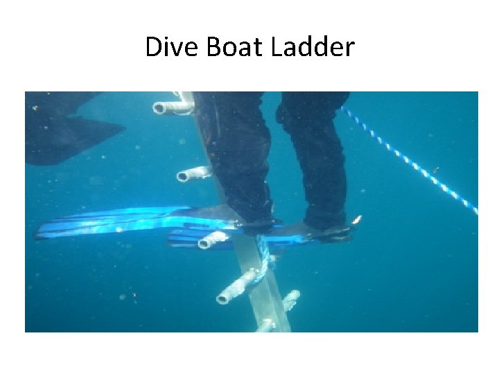 Dive Boat Ladder 