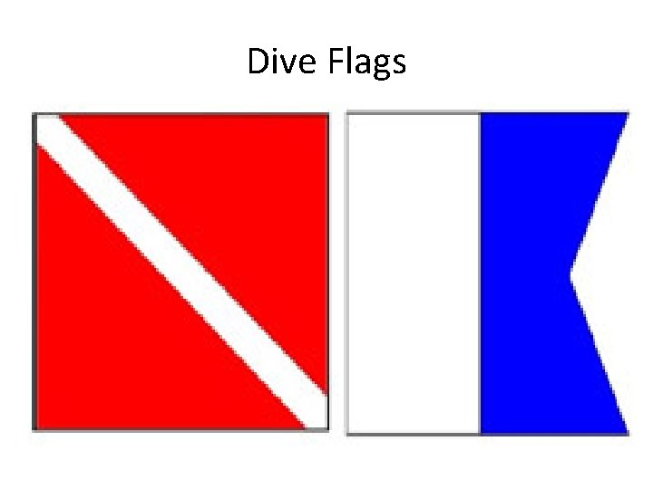 Dive Flags 