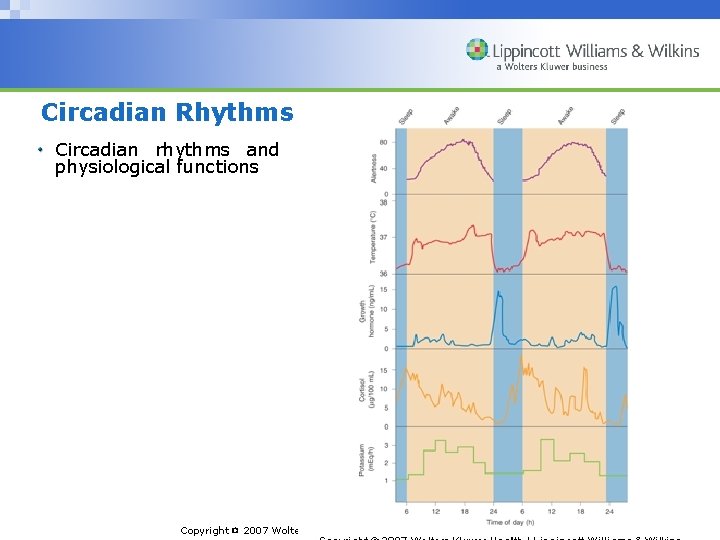 Circadian Rhythms Circadian rhythms and physiological functions Copyright © 2007 Wolters Kluwer Health |