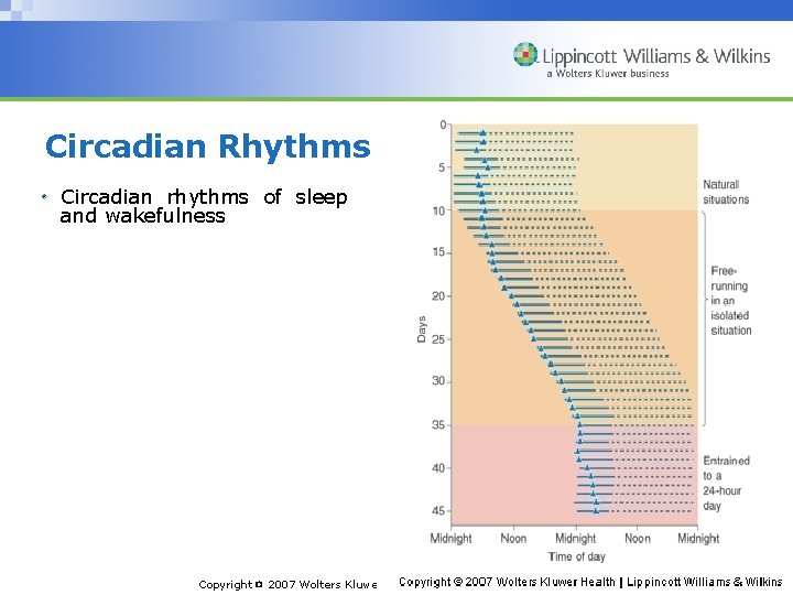 Circadian Rhythms Circadian rhythms of sleep and wakefulness Copyright © 2007 Wolters Kluwer Health