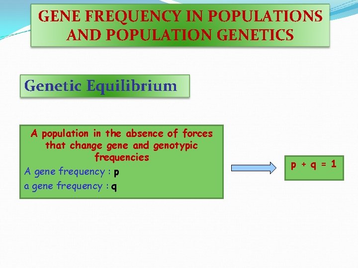 GENE FREQUENCY IN POPULATIONS AND POPULATION GENETICS Genetic Equilibrium A population in the absence