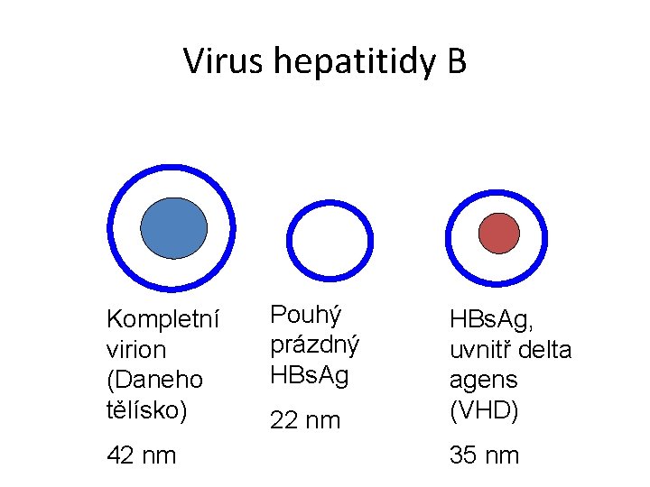 Virus hepatitidy B Kompletní virion (Daneho tělísko) 42 nm Pouhý prázdný HBs. Ag 22