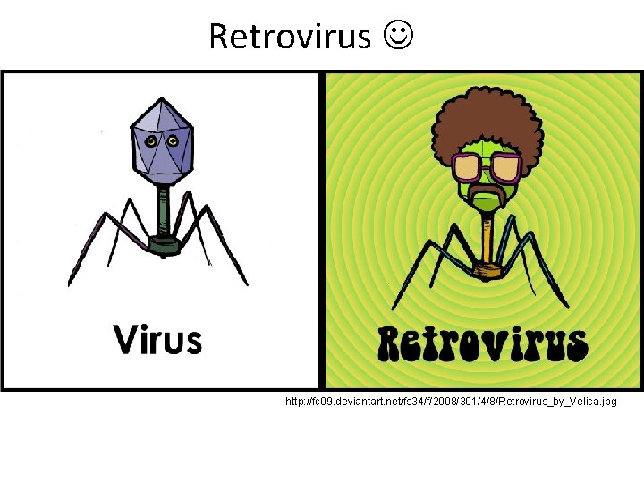 Retrovirus http: //fc 09. deviantart. net/fs 34/f/2008/301/4/8/Retrovirus_by_Velica. jpg 