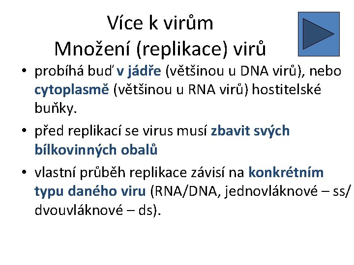 Více k virům Množení (replikace) virů • probíhá buď v jádře (většinou u DNA