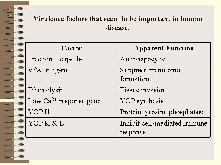 Virulence factors that seem to be important in human disease. Factor Fraction 1 capsule