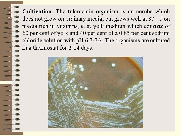 Cultivation. The tularaemia organism is an aerobe which does not grow on ordinary media,
