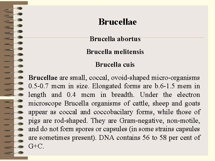 Brucellae Brucella abortus Brucella melitensis Brucella cuis Brucellae are small, coccal, ovoid-shaped micro-organisms 0.